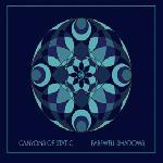 Canyons Of Static - Farewell Shadows
