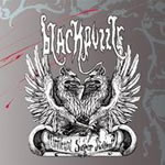 Blackpuzzle - Universal Super Swamp