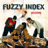 Fuzzy Index - Insecure