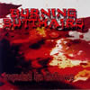 Burning Butthairs - Impulse to exhume