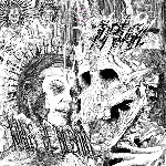 Tortuga - Kings Of Albany