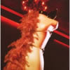 Eternal Tango - 